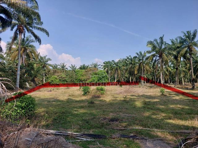 Tanah Pasir Panjang Port Dickson 1 ACRE 1 NAMA 1