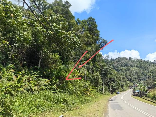 Agriculture Land Main Road Access Donggongon Area for sale 1