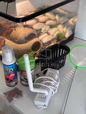Live Red Crayfish + Complete Aquarium Set 🦞 - photo 2 of 5
