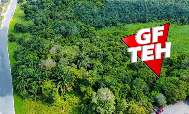 16.562acres First Grade Industrial Land Permatang Tinggi Penang 130psf 1