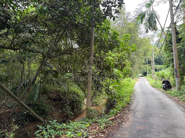 2.199 Ekar Dusun Durian Kuala Kangsar Perak 1
