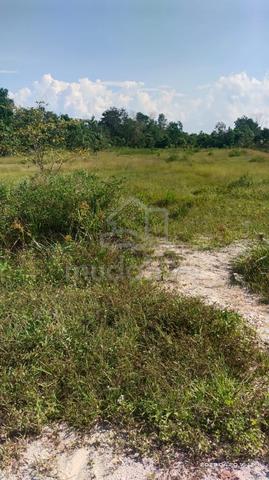 Tanah Pertanian 1ekar di RTK Sri Damai, Kuantan 3