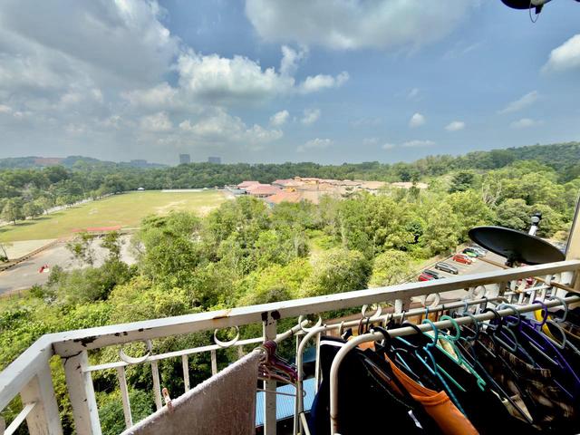 Desaminium Rimba 1
