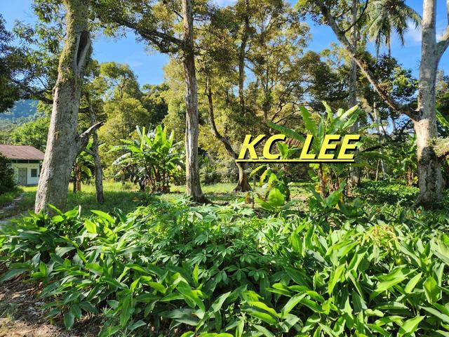 2.3 Acres Residential Land @ Balik Pulau,Penang 3