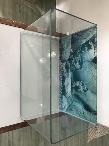 Aquarium Curve - photo 4 of 6