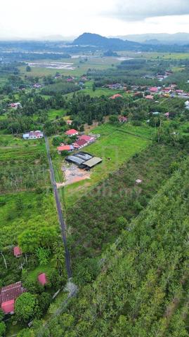 FREEHOLD International Land well maintain Blackthorn Greenhouse Kangar 1