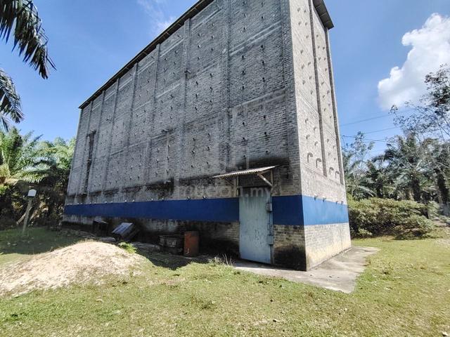 Freehold Agriculture Land Bukit Senggeh, Selandar Jasin 1