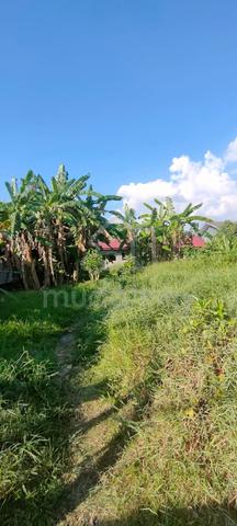 Lot Banglo @ Bandar Dato Onn - Taman Desa Mutiara 5