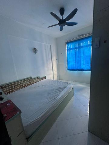 Seri Nibung 1