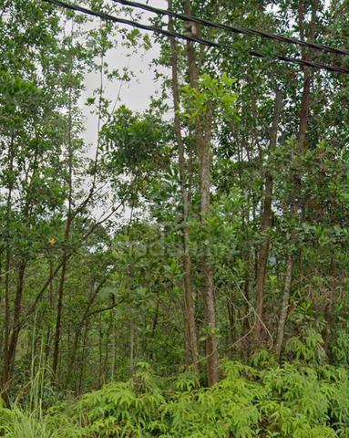 [ Next Main Road ] Residential land  ,SERENDAH , Rawang 1