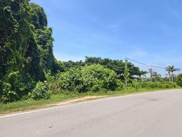 Sabah Tuaran Freehold Land For Sale 1
