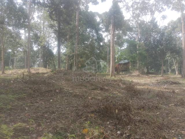 Tanah Kebun Durian Untuk Dijual 1
