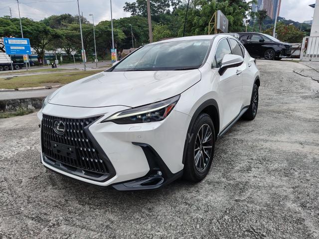 2023 Lexus NX 250 2.5 Standard 360 Camera 4.5B - 1