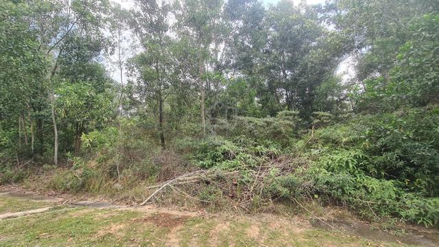 Bandar Tasik Kesuma freehold bungalow land for sale 1