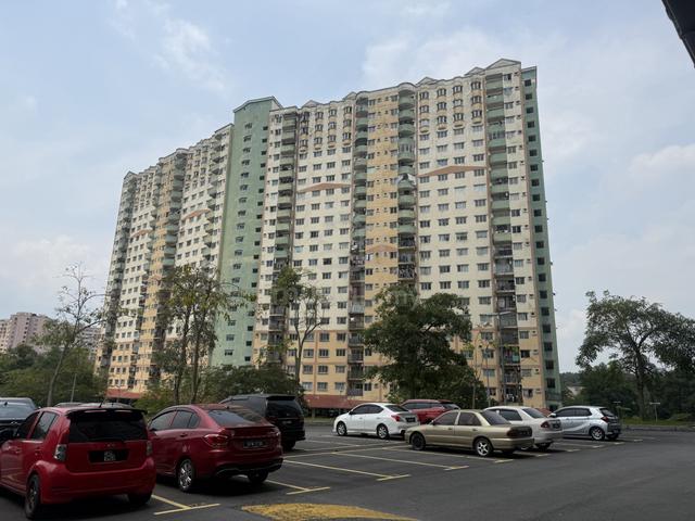 Desaminium Rimba 1