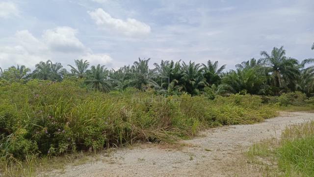 Lot Mampu Milik di Jln Sejahtera Kg Jaya Setia Bestari Jaya 1