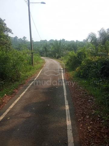 3.8 Ekar Tanah Kosong Kg Tebing Tinggi Segamat Johor 1