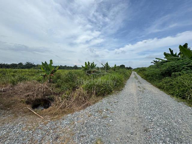 3 EKAR : TANAH PERTANIAN AYER BALOI (Tanaman Sawit) 4