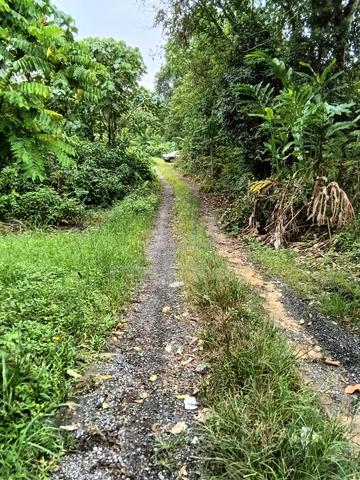 Tanah untuk Kediaman atau Villa Dusun di Hulu Langat utk dijual 1