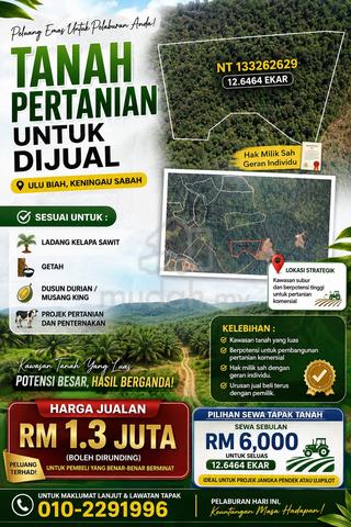 Tanah Pertanian Untuk Dijual - Ulu Biah, Keningau Sabah 1