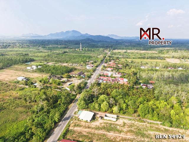 STRATEGIC AREA Oil Palm Farm Kaki Bukit Perlis FOR SALE 1