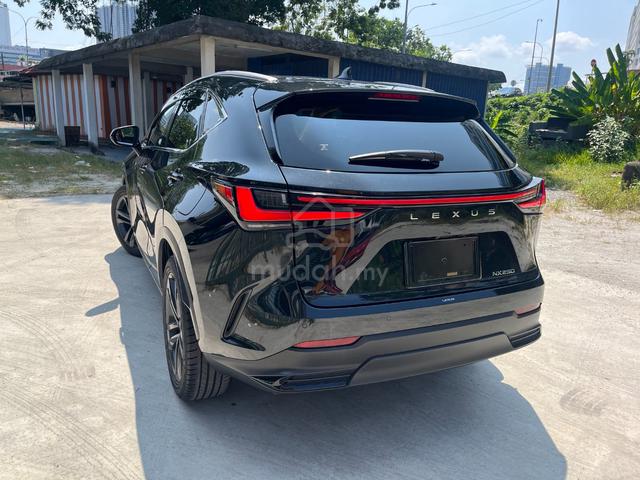 2023 Lexus NX250 2.5 LUXURY (BROWN INTERIOR) - 3