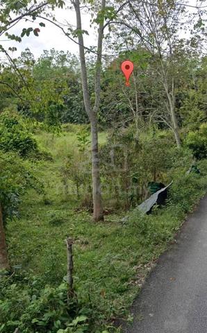 Tanah pertanian utk JUAL di Pedas rm300k NEGO sampai jadi 1