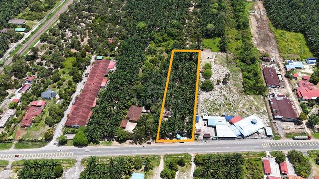 FREEHOLD Kebun Sawit 1.37 Parit Jawa Muar [TEPI JALAN MUAR-BP] 1