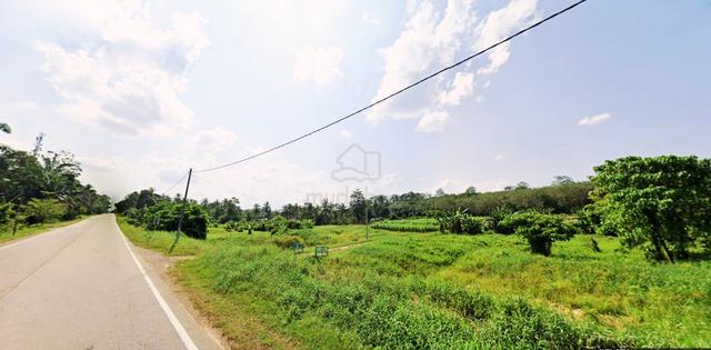 TANAH PELABURAN MURAH, Tanah Pertanian, Kampung Gedok, Gemencheh 1