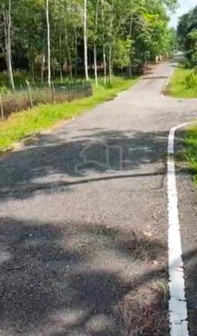 1 Ekar Tanah Getah Kg Paya Lebar Jementah Segamat Johor 1