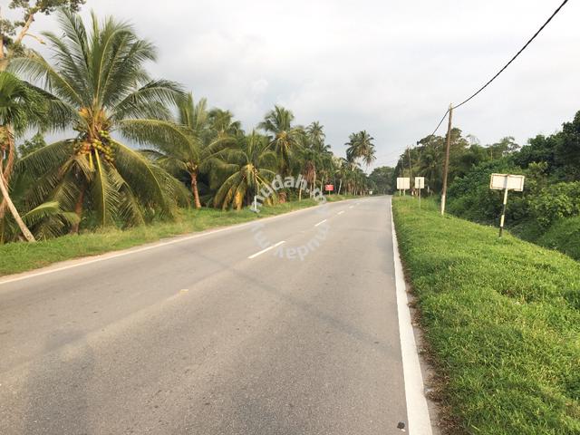 Freehold Agriculture Land For Sale At Batu Laut,Morib,Banting,Selangor 1