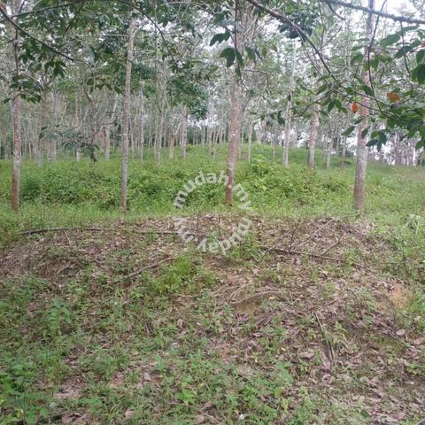 Freehold Agriculture Land For Sale At Kepis,Bahau,Kuala Pilah,N.S 1
