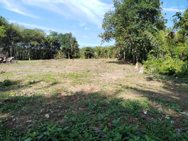 Tanah sendiri di kampung Bakong parit panjang Geran 1 nama 4