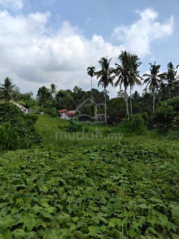 land for rent 1
