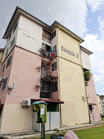 Dahlia (Seremban) 1