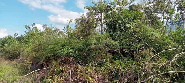 Keningau Sook Land For Sale / Tanah Keningau Sook Dijual / NT 1