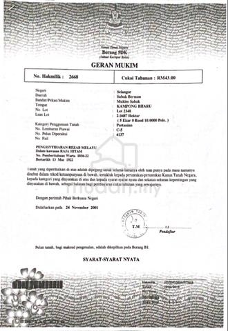 Tanah Sawit Tebuk Berihun Sabak Bernam 4