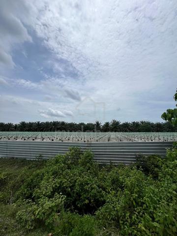 Nibong Tebal Land Penang 1