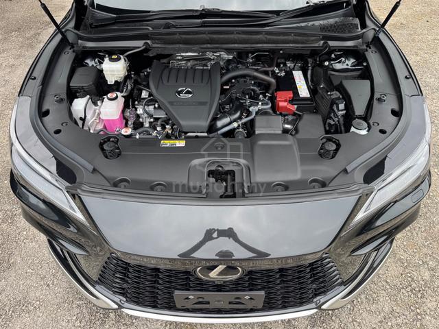 2024 Lexus RX350 2.4 F SPORT (A)P/Roof,DIM,AdvPark - 4