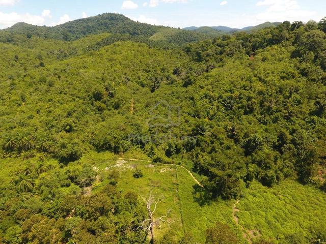 Tanah muran Kuala pilah Seremban negeri 9 5
