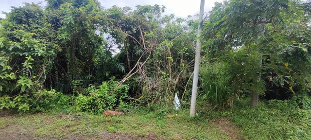 Tanah Lot 0.98 Ekar Kg Tanjung Dengkil Selangor 1