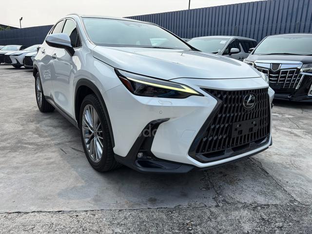 2023 Lexus NX250 2.5 VERSION L PANROOF, BROWN LS - 1