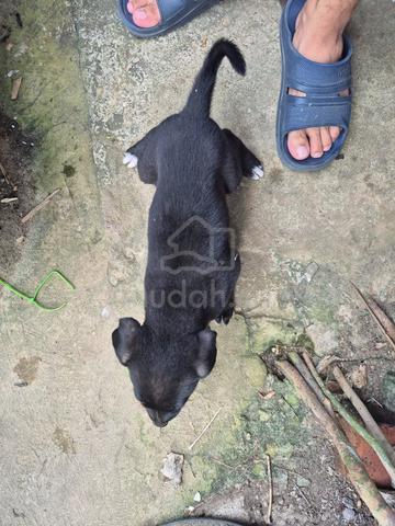 Carousel Image