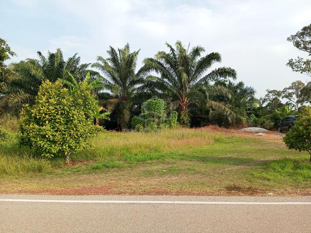Tanah pertanian utk dijual 1