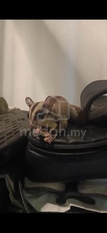 Carousel Image
