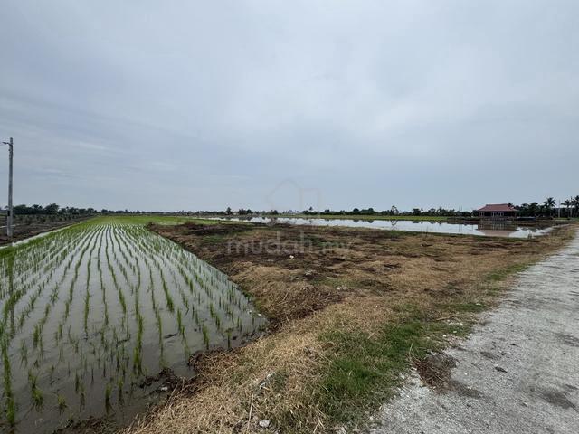 Tanah Sawah Hanya 3.7 KM daripada pekan Sg Besar. 1