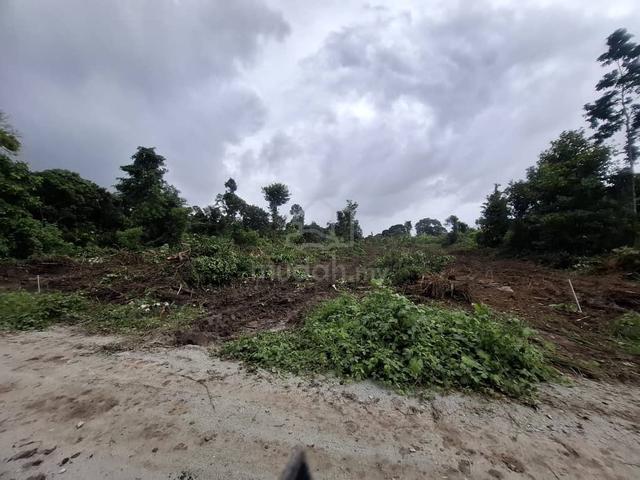 Lot Banglo Freehold Di Kampung Padang Luas Jertih Besut 736MPS 1