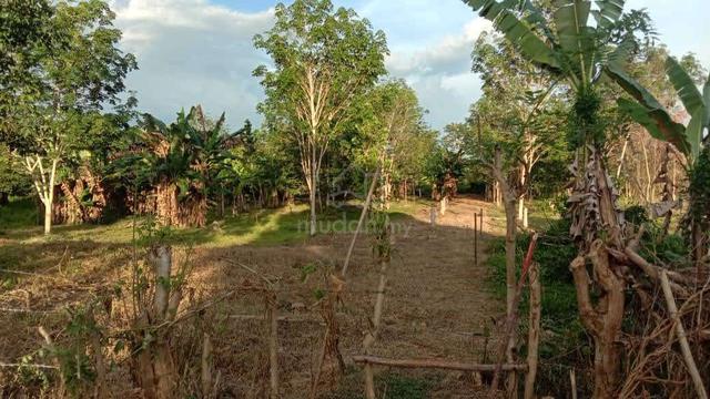 tanah di kampung tanah merah keningau 1
