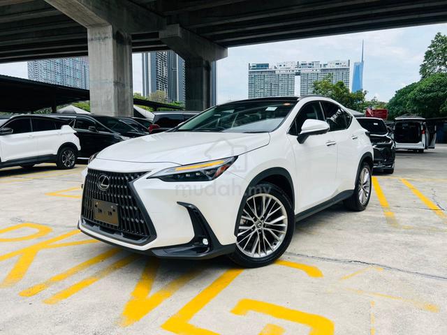 2023 Lexus NX 250 2.5 LUXURY Grade 5A Black Seats - 1