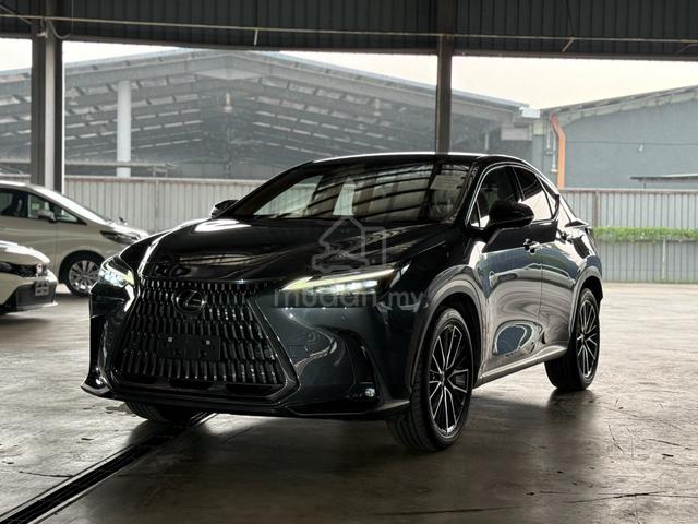 Lexus NX250 LUXURY Grey Color Rare Low Mileage - 3